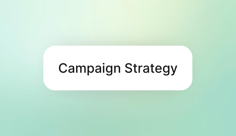 Campaign Strategy